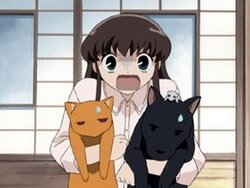 Корзинка фруктов / Fruits Basket (2001/RUS/JAP) Корзинка фруктов / Fruits Basket (2001/RUS/JAP)