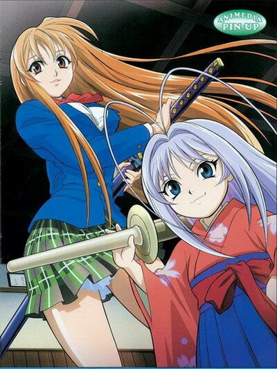 Небо и земля / Tenjou Tenge (RUS/16+)