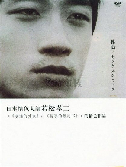 Секс-террор / Seizoku (1970/RUS/18+) DVDRip 