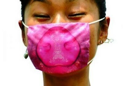 Япония против свиного гриппа