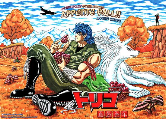 Торико / Toriko (2009/RUS)