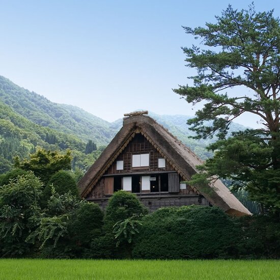 Бомжи-архитекторы строят в Японии бесценные дома