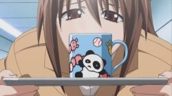 ���������� ����� / Elfen Lied (2004/RUS/JAP/16+) DVDRip