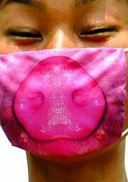 Япония против свиного гриппа
