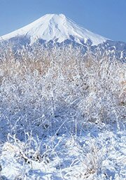 Величественный символ Японии - гора Фудзи